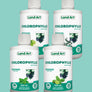 Pack Chlorophylles