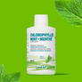 Vegan Bestsellers Bundle