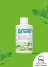 Chlorophyll Liquid | Mint