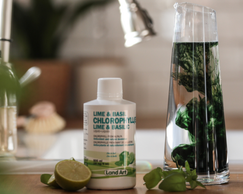 ​Chlorophyll: Essential to life – Origin and benefits