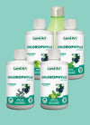 Pack Chlorophylles