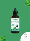 Chlorophyll 15X | Liquid | Mint