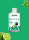 Chlorophyll 5X Liquid | Lime & Basil