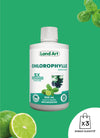 Chlorophyll 5X Liquid | Lime & Basil