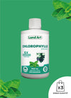 Chlorophylle 5X Liquide | Menthe