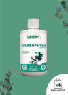 Chlorophyll Liquid | Eucalyptus