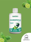 Chlorophyll Liquid | Lime & Basil