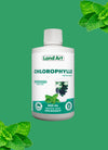 Pack Chlorophylles