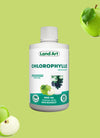 Pack Chlorophylles