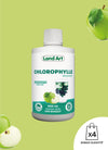 Chlorophylle Liquide | Pomme