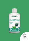 Chlorophylle Liquide | Menthe