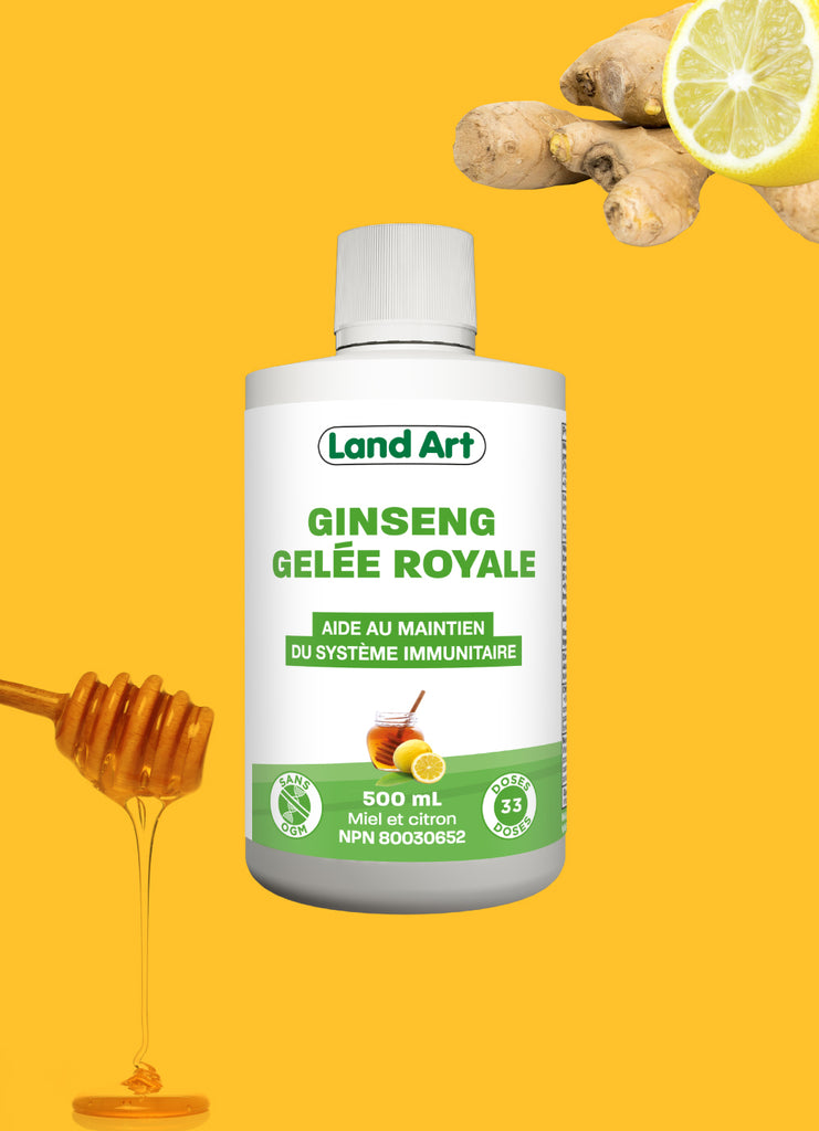 Miel au Ginseng et Gelée Royale Bio - Évite la baisse de régime. Dynamise  l'organisme. Pouvoir antioxydant.
