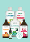 Vegan Bestsellers Bundle