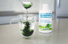 Chlorophylle 5X Liquide | Lime & Basilic | Cadeau