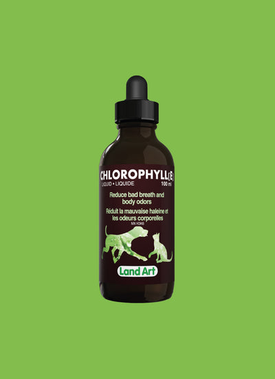 Pack Chlorophylles, 4 types de chlorophylles