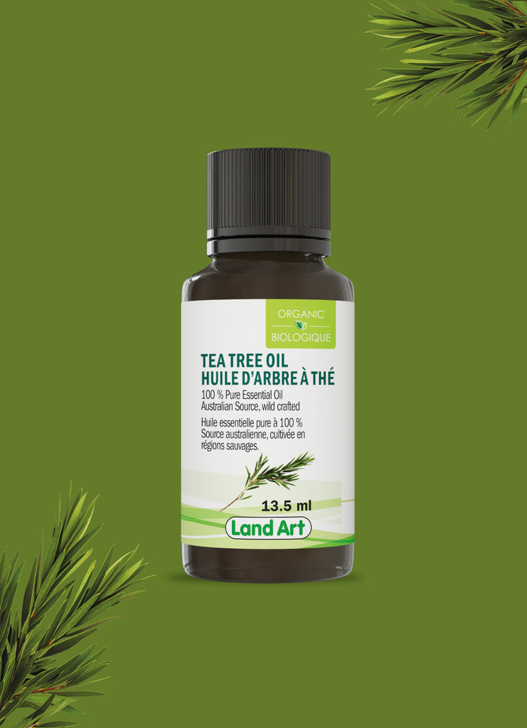 Arbre à thé (Tea tree) - Huile essentielle - Biophare