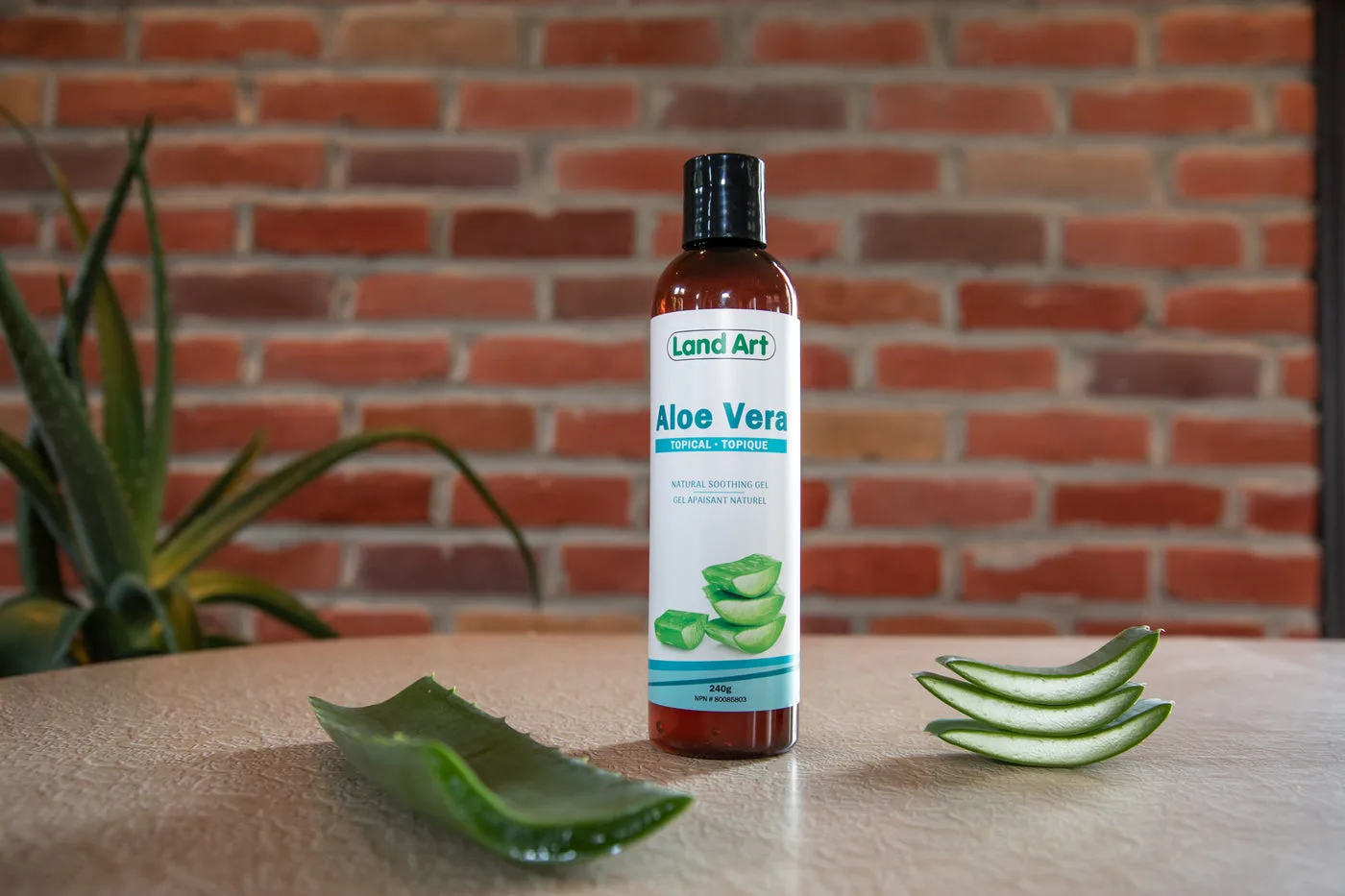 vital care aloe vera gel Facial Treatment Gel main image 1