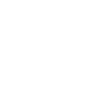 Concentration 3MG
