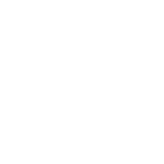 5 Champignons