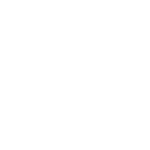 Real mushroom