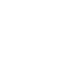 Absorption du fer