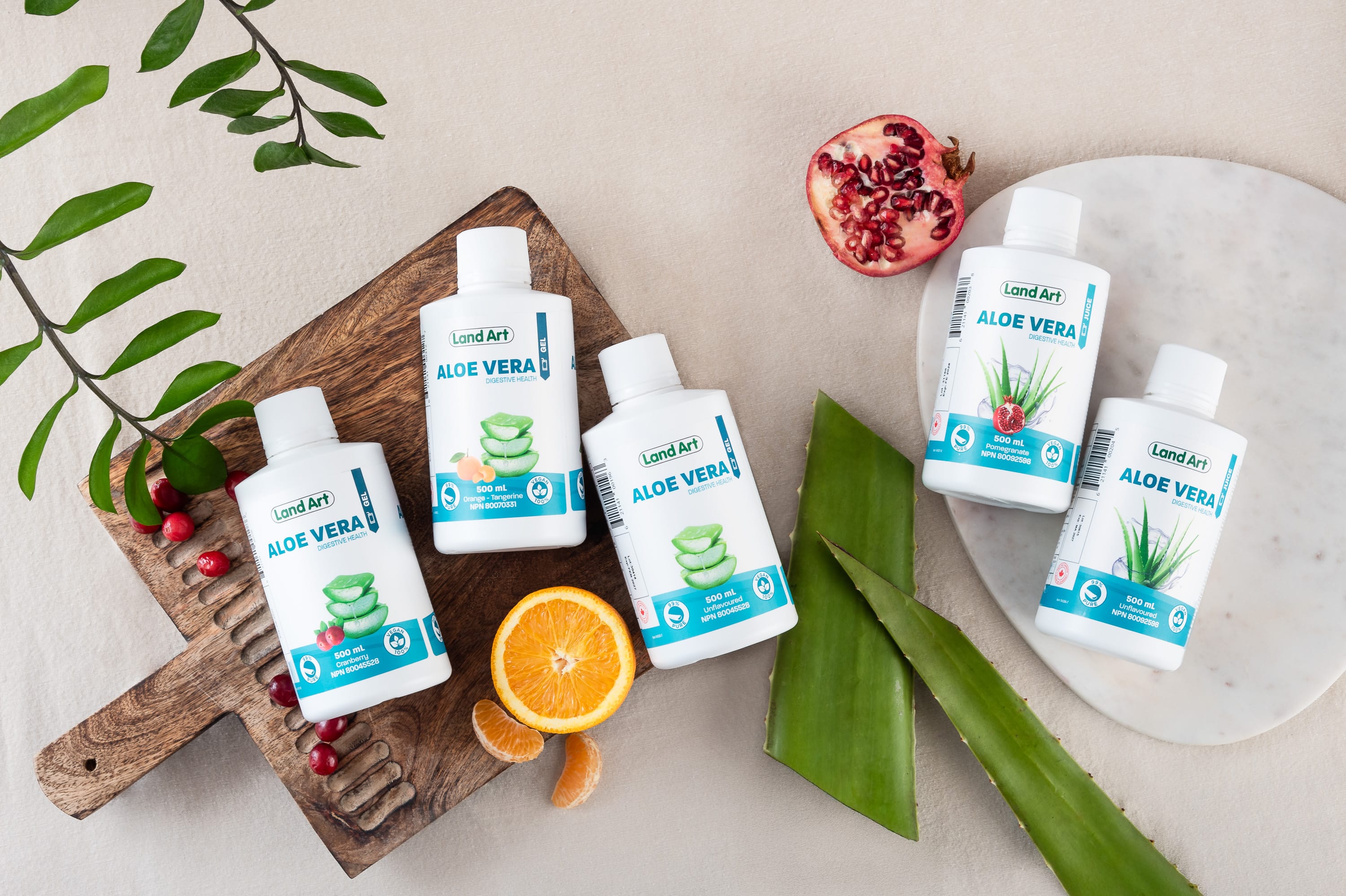 Aloe Vera and Digestion: Benefits, Forms and Available Products