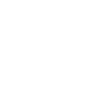 muscles
