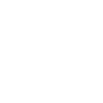 muscles